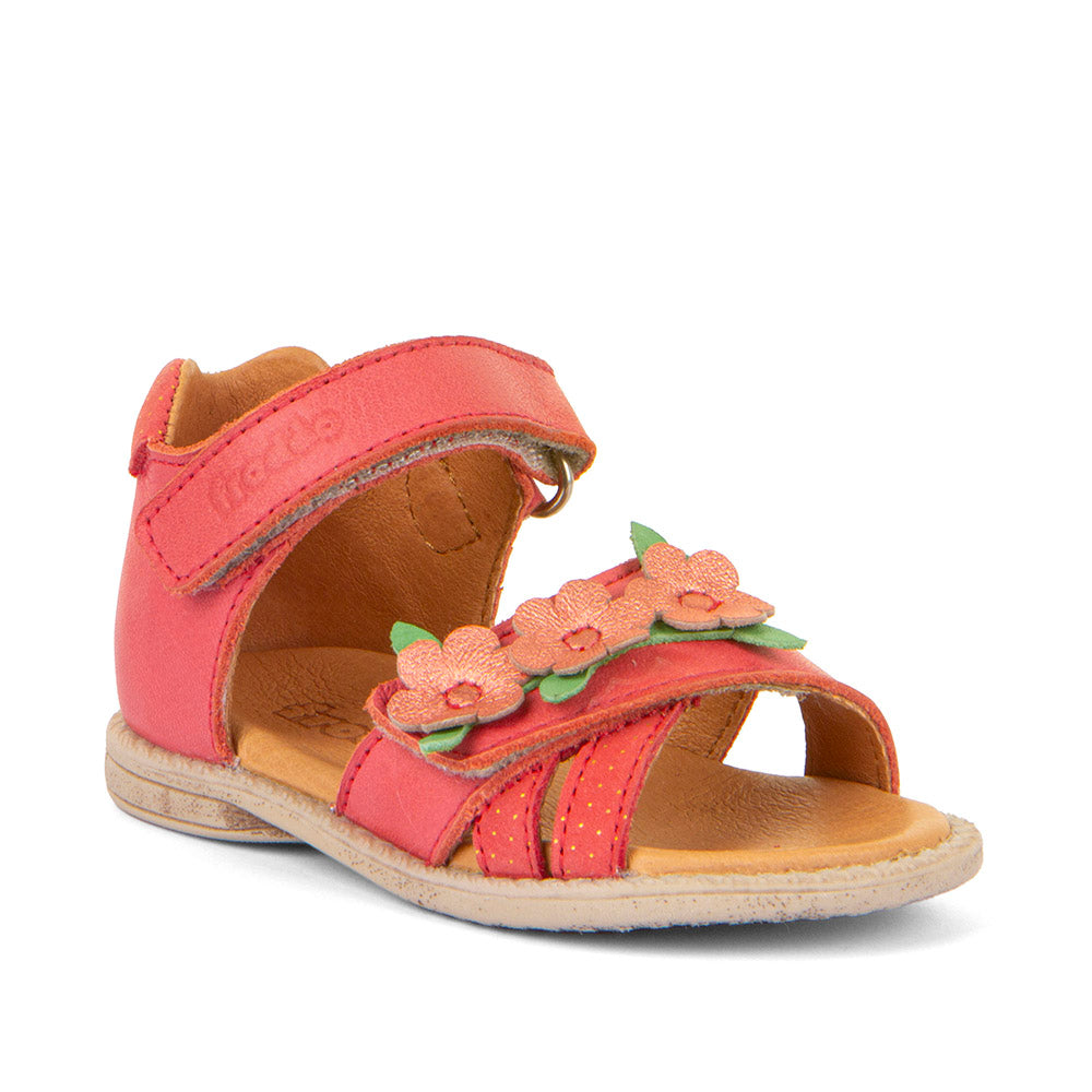 Carlina Flower/Froddo