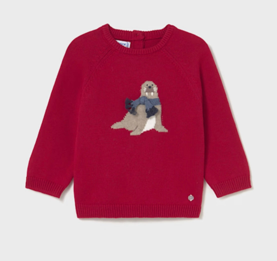 Boy Winter Sweater/Mayoral